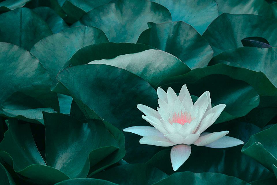 marianponte-psicologa-consciente-podcast-2